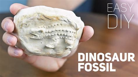 How to make a fossil and polish it .